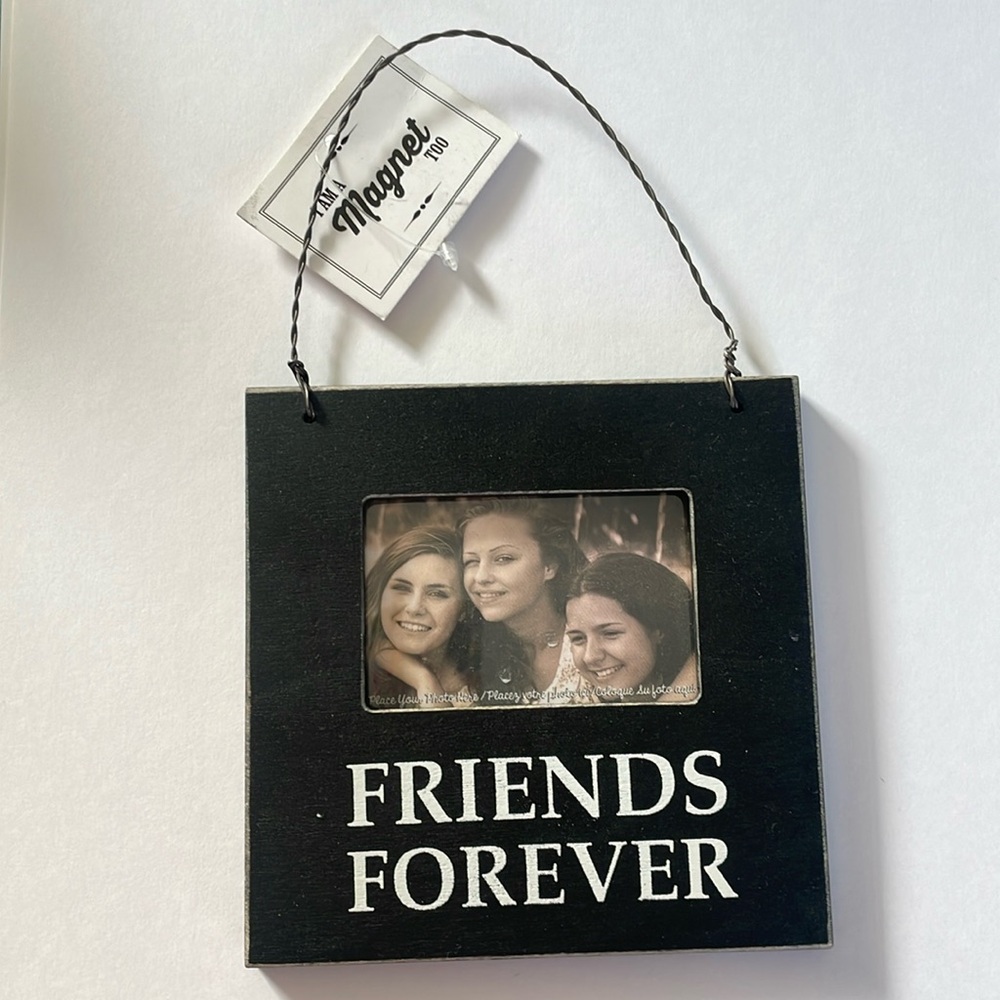 Three Girls & A wish Friends Forever Hanging Sign/magnet